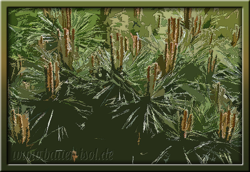 250511-Nepal-Himalaya-04